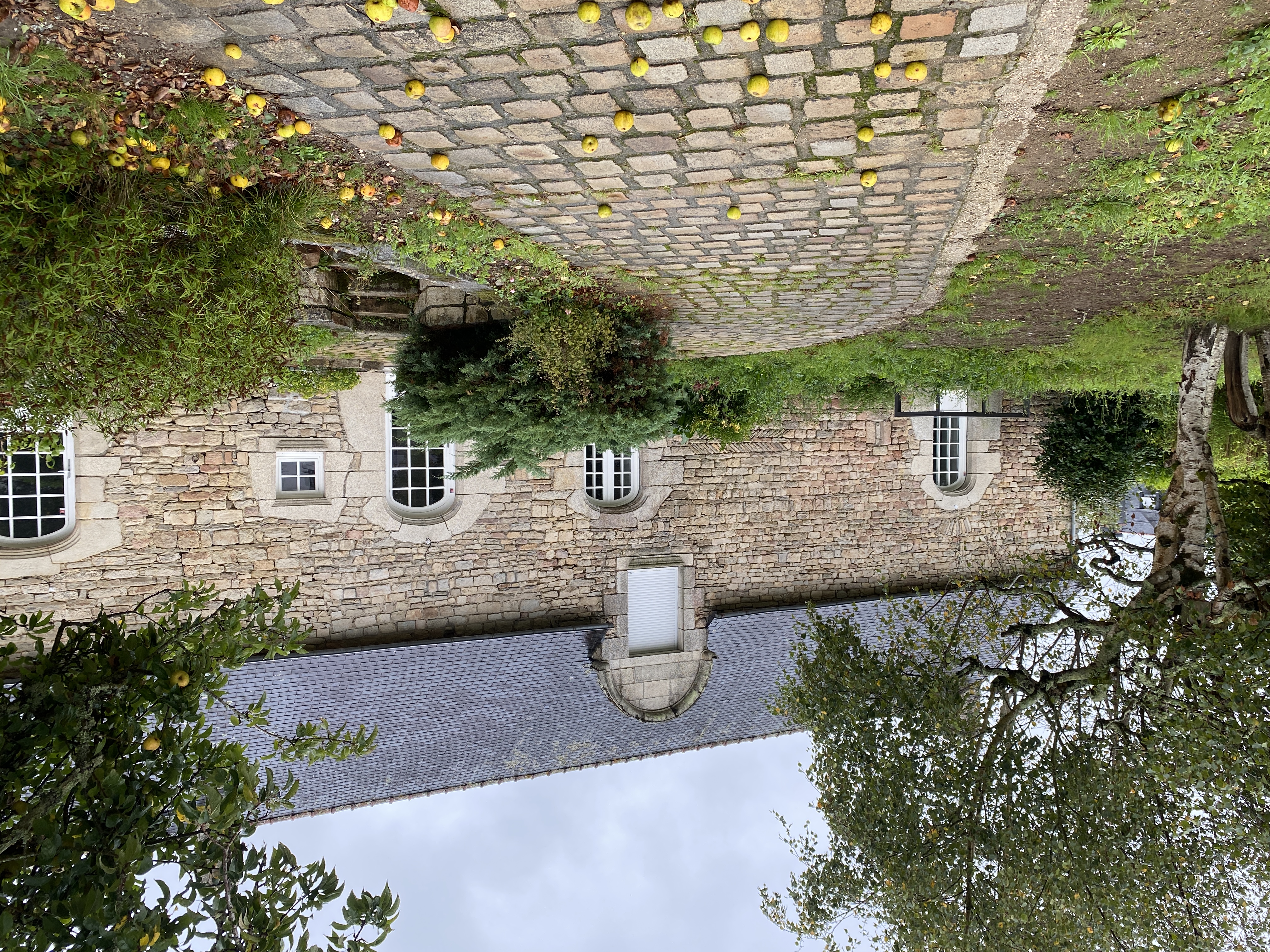 project-360